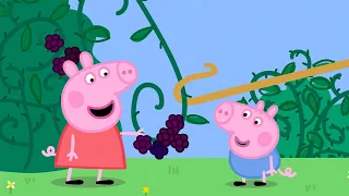 Der Brombeerstrauch | Peppa-Wutz Volle Episoden