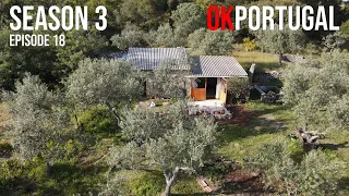 Couple live OFF-GRID on a small Permaculture FARM in Central Portugal  | PORTUGAL FARM LIFE S3-E18 🌻