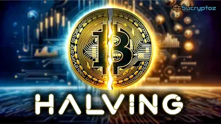 Bitcoin Halving 2024 Explained: Does It Kick Off the Bull Run?