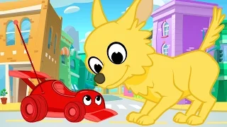 Giant Cute Animals And Morphle - My Magic Pet Morphle Videos For Kids