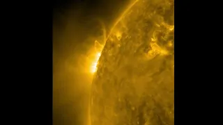 The Sun Flare Activity [19 Feb 2022]