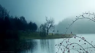 audio transparency - fog on lake Rootice