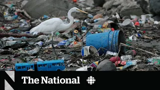 Why it’s so hard to end plastic pollution