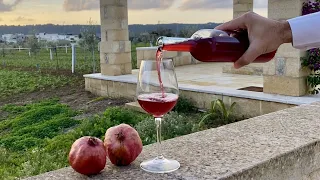 How to make POMEGRANATE WINE Homemade 🍷 Homemade Wine with 13% of Alcohol 🤪ITALIAN Style Red Wine