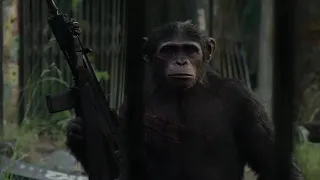 dawn of planet of the apes (Music video)
