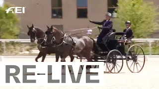 RE-LIVE | Marathon - FEI Driving World Championships for Pairs