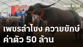 "เพชรลำโขง" ควายยักษ์สวยงาม ค่าตัว 50 ล้าน | 23-05-66 | ตะลอนข่าว