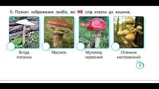 245. Повторення.  Що ми знаємо про гриби, бактерії та віруси 3 клас "Інтелект України"