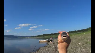 Поездка в п. Ярославский Ленского района. Рыбалка в устье реки Пилка