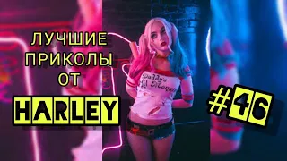 Лучшие приколы 2021 до слёз от Harley #46ФЕВРАЛЬ