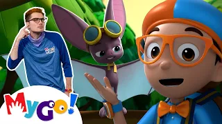 Blippi Wonders | Learn How Bats See In The Dark! + MORE! | MyGo! Sign Language For Kids | ASL