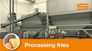 French fries processing line - Sormac