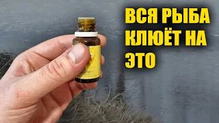 Вся рыба клюёт на это! Каждый рыбак уважающий себя должен сделать такой активатор клёва