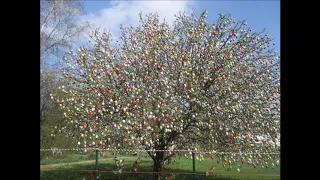 Ostereierbaum der Familie Kraft in Saalfeld am 06  April 2014