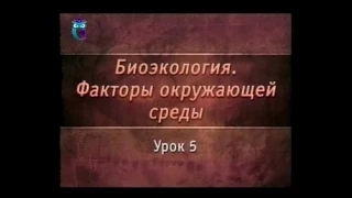 Биоэкология. Урок 5. Влажность