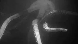 1959 Submarine Voyage Ride Thru