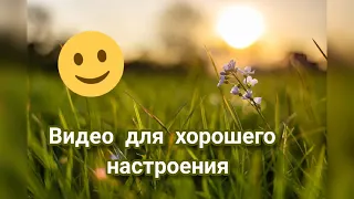 Нереально крутая веселая музыка для хорошего настроения. СЛУШАТЬ ВСЕМ!!!!!!!