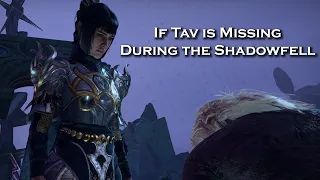If Tav is MIA When Shadowheart Confronts Nightsong