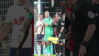 Spurs Fan Tries To Kick Arsenal Goalie