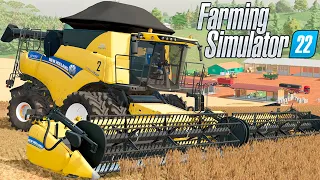 MEGA COLHEITA DE FEIJÃO PRETO DOS GURI | Os Guri | Farming Simulator 22 - EP 61