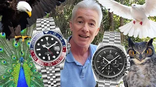 Watch Collector Profiles - The 4 Types of Watch Dude - What Your Watch Says About You!!