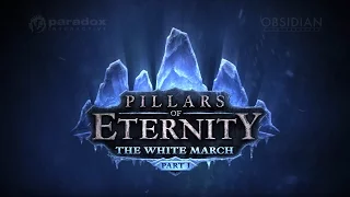 Волшебник - Имба -_- Pillars of Eternity