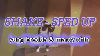 SHAKE   SPED UP