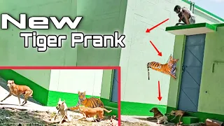 Fake Tiger Prank Dog Hilarious | Try to Stop Laugh Challenge | Dog Pranks | Chitti Pranks