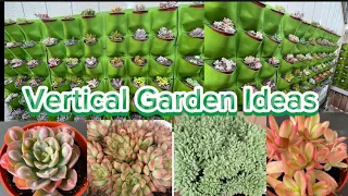 How to make vertical garden for succulent propagation