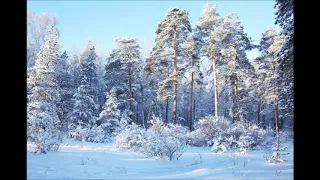 Валентина Толкунова Зимой в лесу Песня для детей