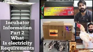 What Are The Electricity Requirements for Incubator Use!! How to use incubator part 2
