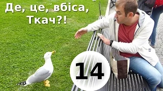 Де це, вбіса, Ткач?! - Епізод 14