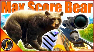 MAX SCORE Black Bear on the Bear Grind! | theHunter Call of the Wild