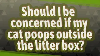 Should I be concerned if my cat poops outside the litter box?