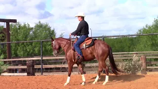 Teaching a Horse to Rollback