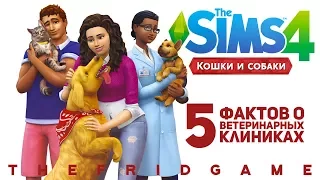 5 ФАКТОВ О THE SIMS 4 КОШКИ И СОБАКИ | Ветеринарная клиника