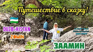 🇺🇿👋🌞ОСЕННЯЯ СКАЗКА В ЗААМИНЕ!🍂🍁На автобусе с весёлой компанией в Уникальный заповедник!🌳🤩👍 (1-серия)