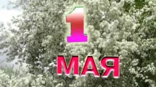 Ролик 1 мая