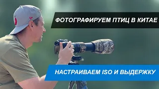 Фотографируем птиц в Китае. Настраиваем ISO и выдержку