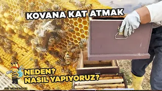 KOVANA KAT ATMAK         NEDEN VE NASIL YAPIYORUZ?