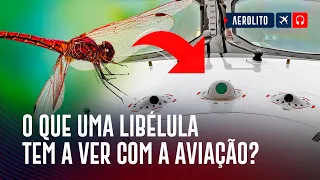 Airbus Imitando Libélula? #UpNext Dragonfly | EP. 1086