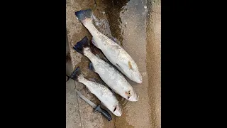 Fishing in Galveston in February - Рыбалка в Галвестоне, штат Техас, США в феврале