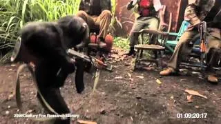 Обезьяна с автоматом АК-47 Ape With AK-47