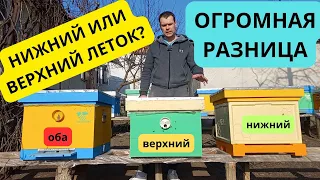 Нижний или верхний леток? Огромная разница, о которой вы можете не подозревать.