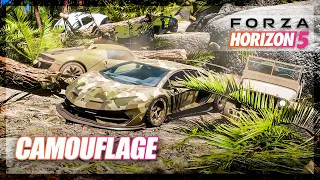 Forza Horizon 5 - Playing Camouflage! (Mini Games & Random Fun)