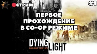 Dying Light Первое Прохождение на Русском в Кооперативе | Даинг лайт | Умирающий свет | Стрим #1