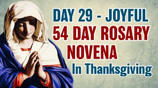 54 Day Rosary Novena Day 29 💙Joyful Mysteries