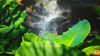 Zen Harmony Music. The Sound of Inner Peace. Reiki Healing. Relaxing Music for Meditation, Yoga