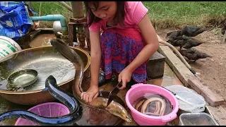 Amazing Cute Girl Cooking Eel For Lunch - How To Cook Eel in Cambodia