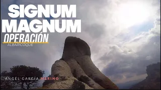 Signum Magnum